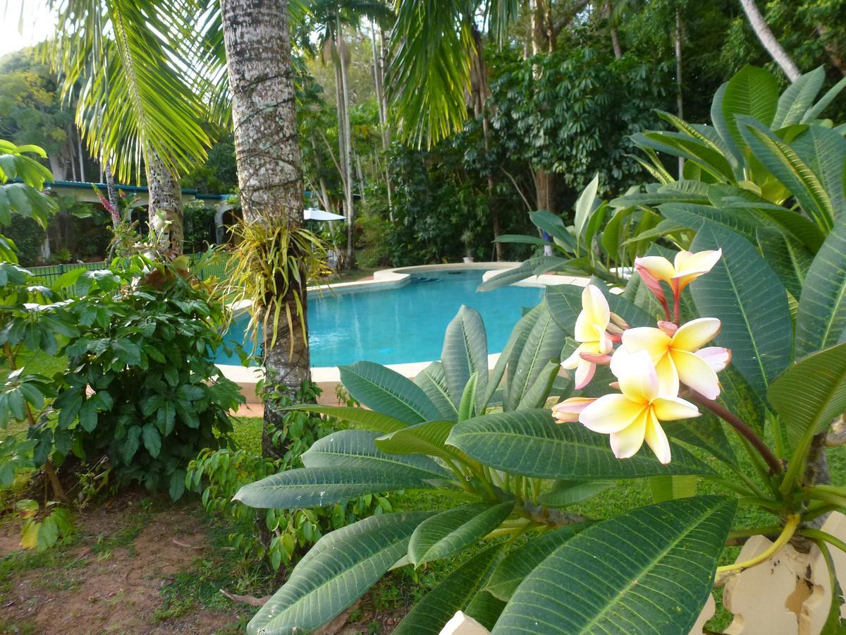 יורקיס נוב Villa Marine Holiday Apartments Cairns חדר תמונה
