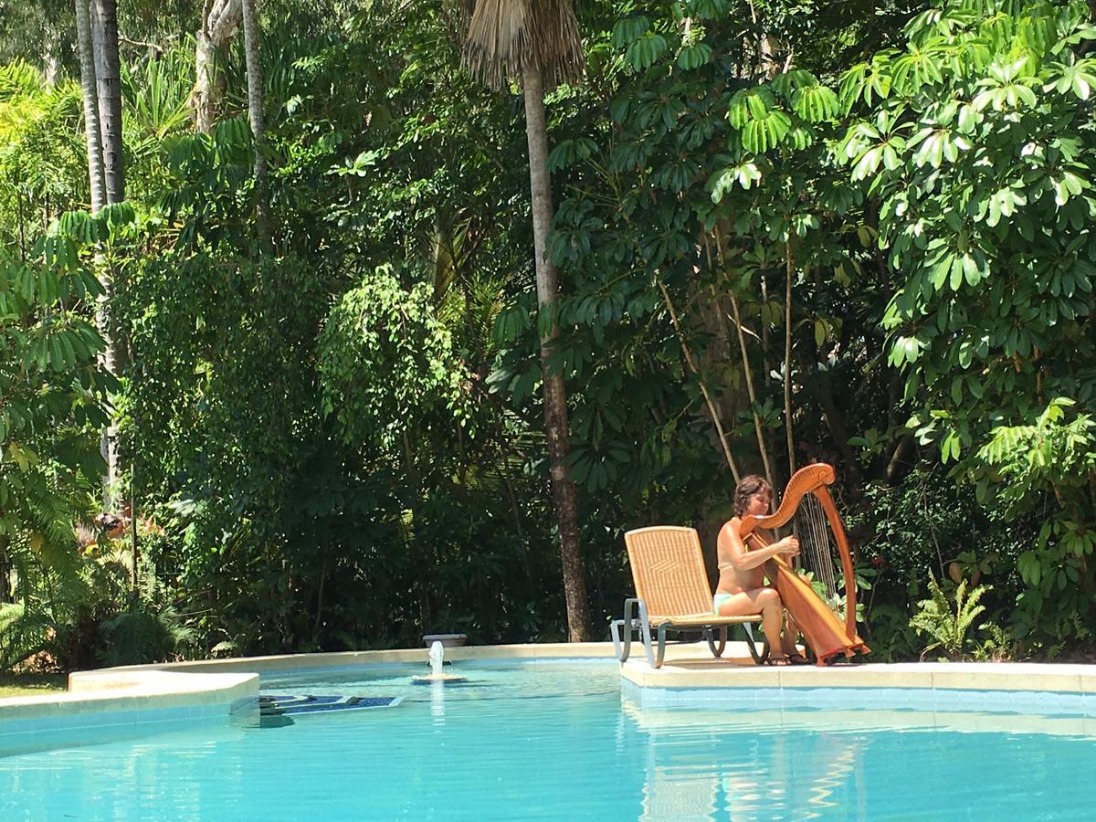 יורקיס נוב Villa Marine Holiday Apartments Cairns מראה חיצוני תמונה