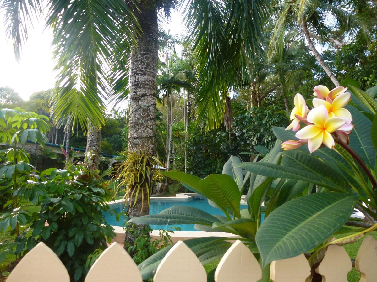 יורקיס נוב Villa Marine Holiday Apartments Cairns מראה חיצוני תמונה